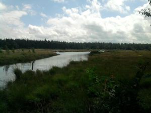 423420_327566090668356_806848969_n