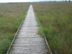 557964_327566000668365_614040768_n