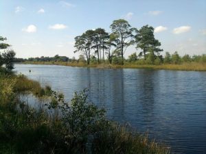 576020_327565917335040_1026930008_n