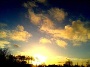 15880_385017768256521_456285501_n