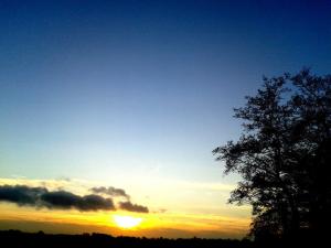 533612_385017908256507_876419888_n