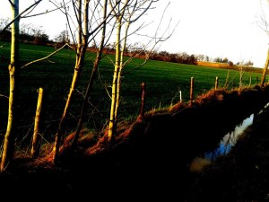 75375_385017784923186_217816444_n