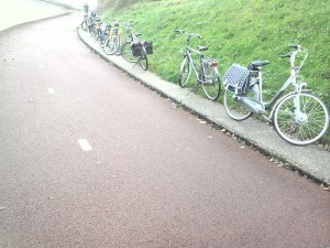 Sommige mensen kozen voor een huurfiets 