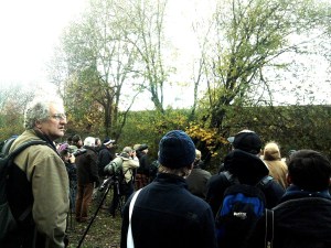 Vogelaars bij de Sperweruil 