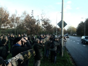 Automobilisten keken raar op 