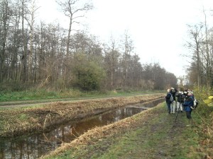 Vogelaars scannen het bos af op de Swinhoes Boszanger 