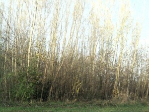 "Ergens zou die moeten zitten" 