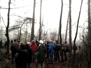 Vlak na de herontdekking van de Dwerguil, vogelaars in alle staten