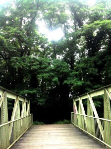 Spoorwegovergang Bunderbos 