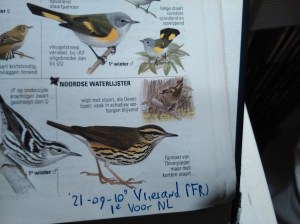 Noordse Waterlijster