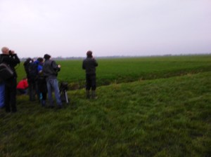 Vogelaars bij de Afrikaanse Woestijngrasmus 