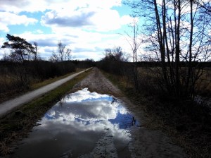 Zandpad Lippenhuisterheide