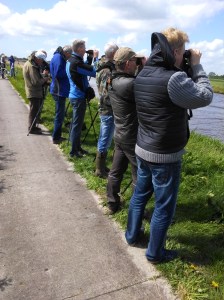 Vogelaars bij de Griel, 07-05-2014