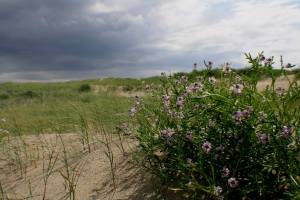 Noordvaarder, met op de voorgrond Zeeraket 
