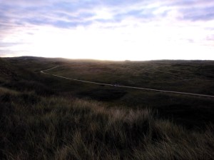 's ochtends in de duinen