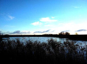 Dijkwielen, met op de achtergrond vele eenden 