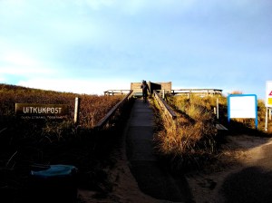 Trektelpost Callantsoog 