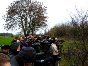 Vogelaars bij de Laag Veldweg, Broekhuizervorst 