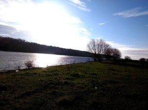 Langs de Maas was het fijn wandelen 