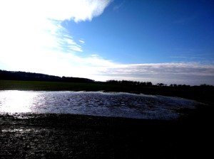 Omgeving Laag Veldweg, Broekhuizervorst 