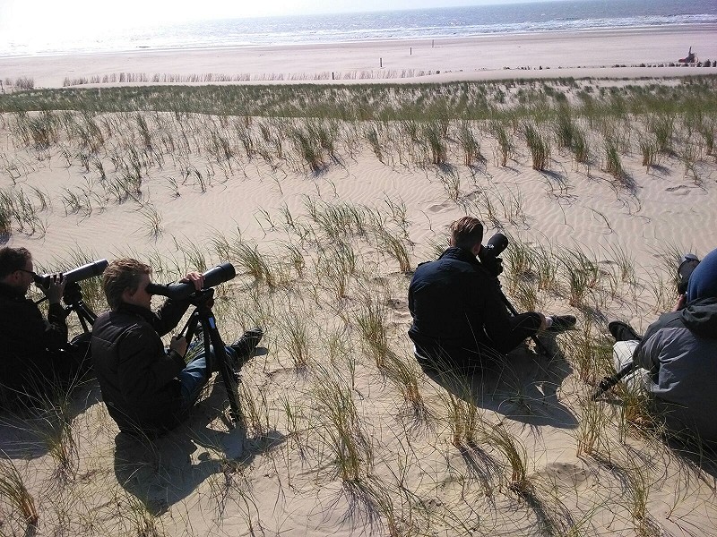 Over zee kijken Folkert Jan Hoogstra