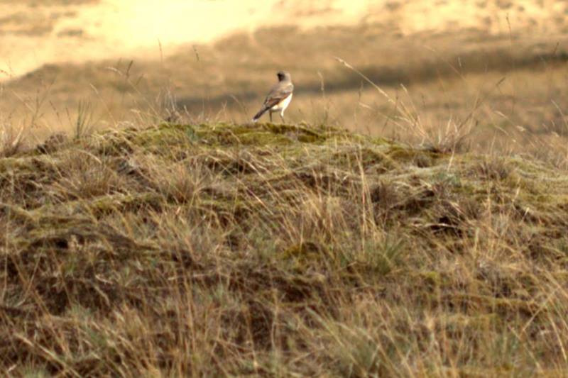 14101864_1104348436324448_673500206_n