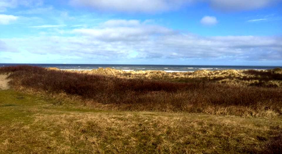 17362875_10206697542477387_645448317739239981_n