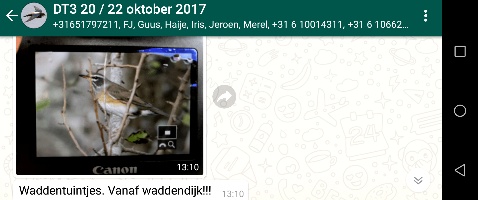 Screenshot_20171022-173205