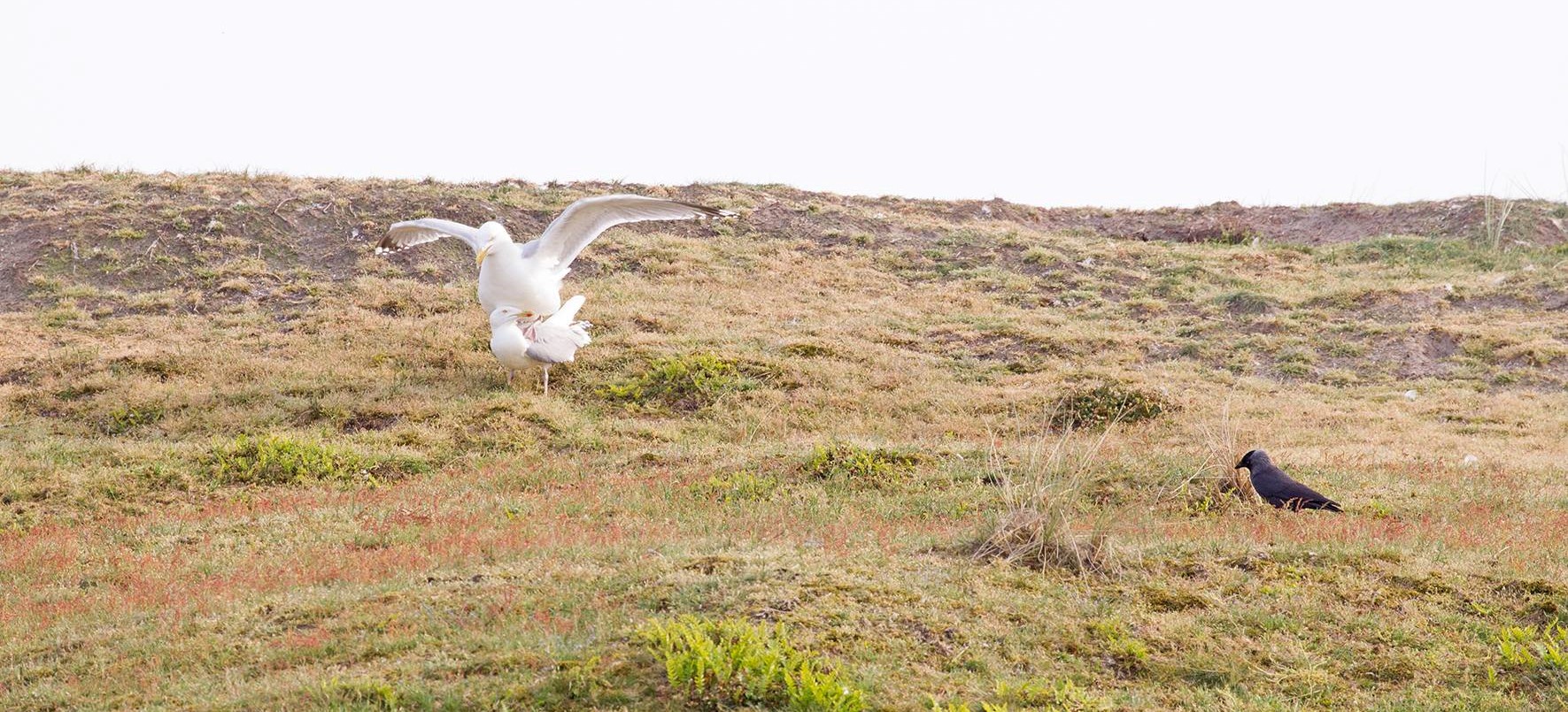 32367053_633038650421544_8726305258256465920_o