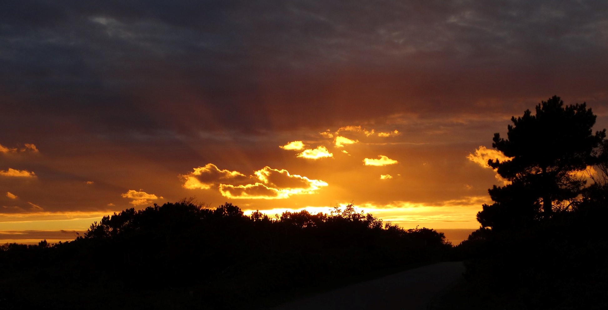 41931845_10156508730085185_1648818716365815808_o