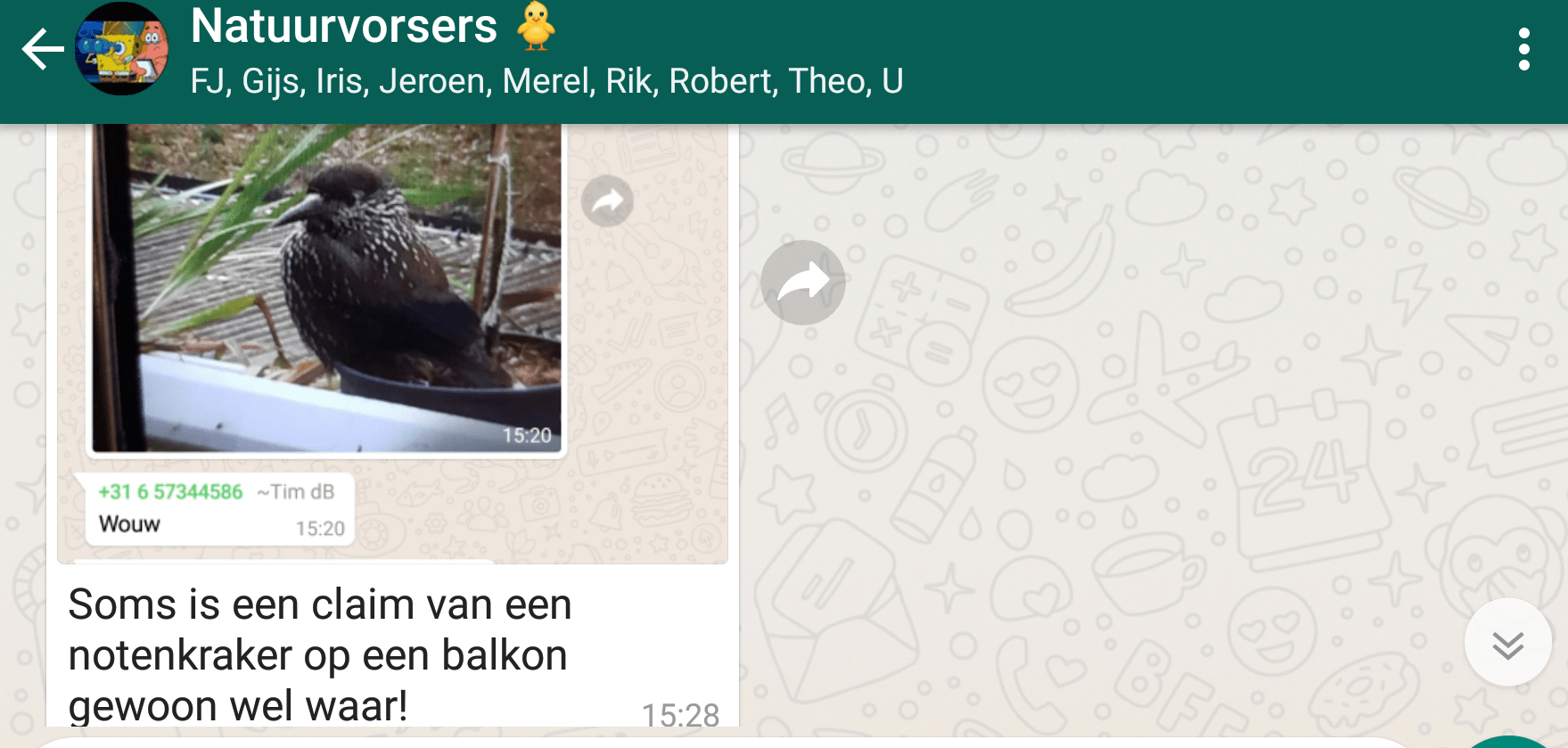 Screenshot_20181125-152709