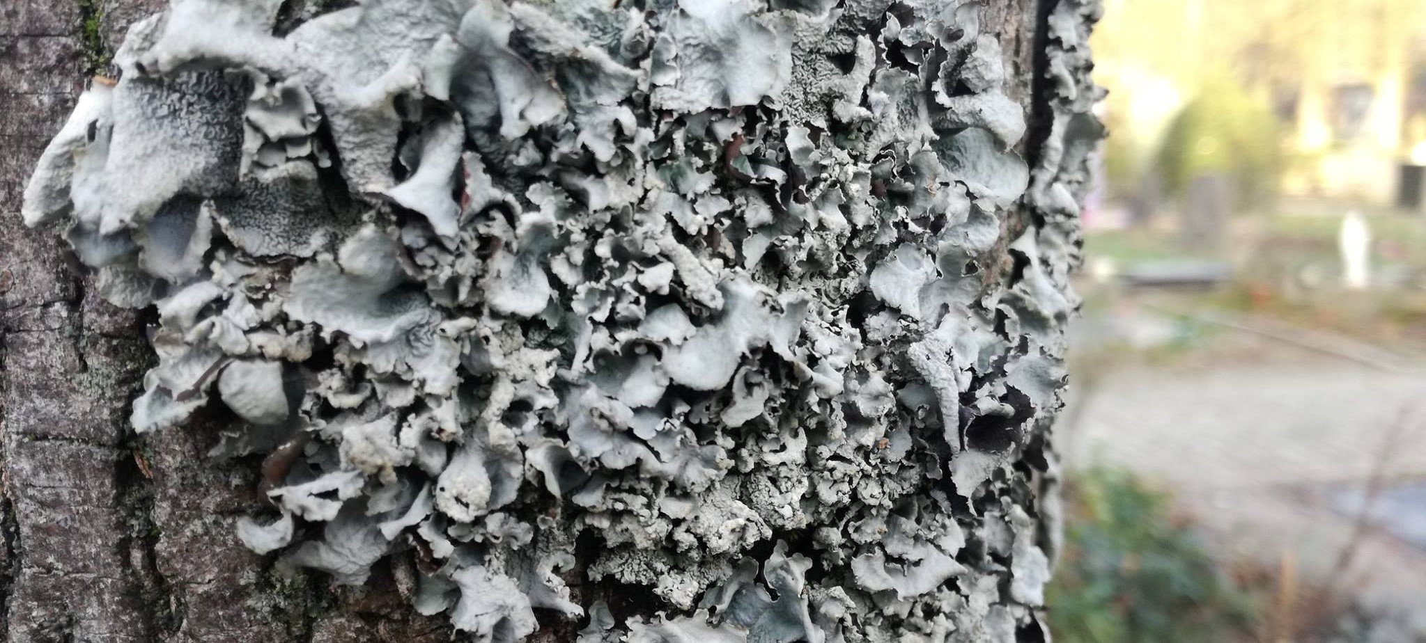 48164169_1962405117184437_767270876360998912_o