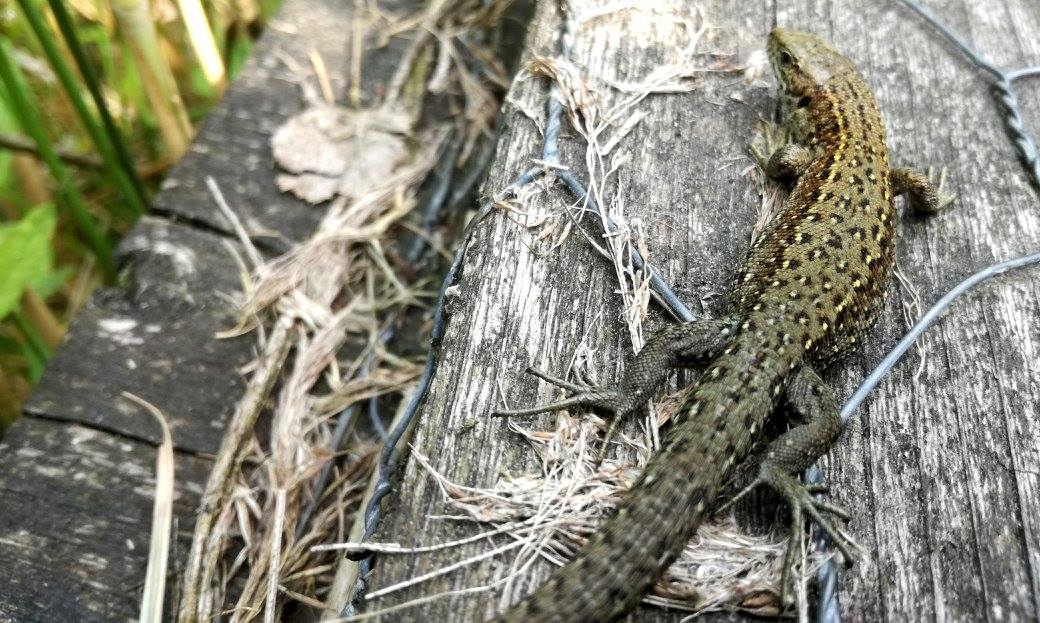 19453053_1374628195962135_108535672613867937_o