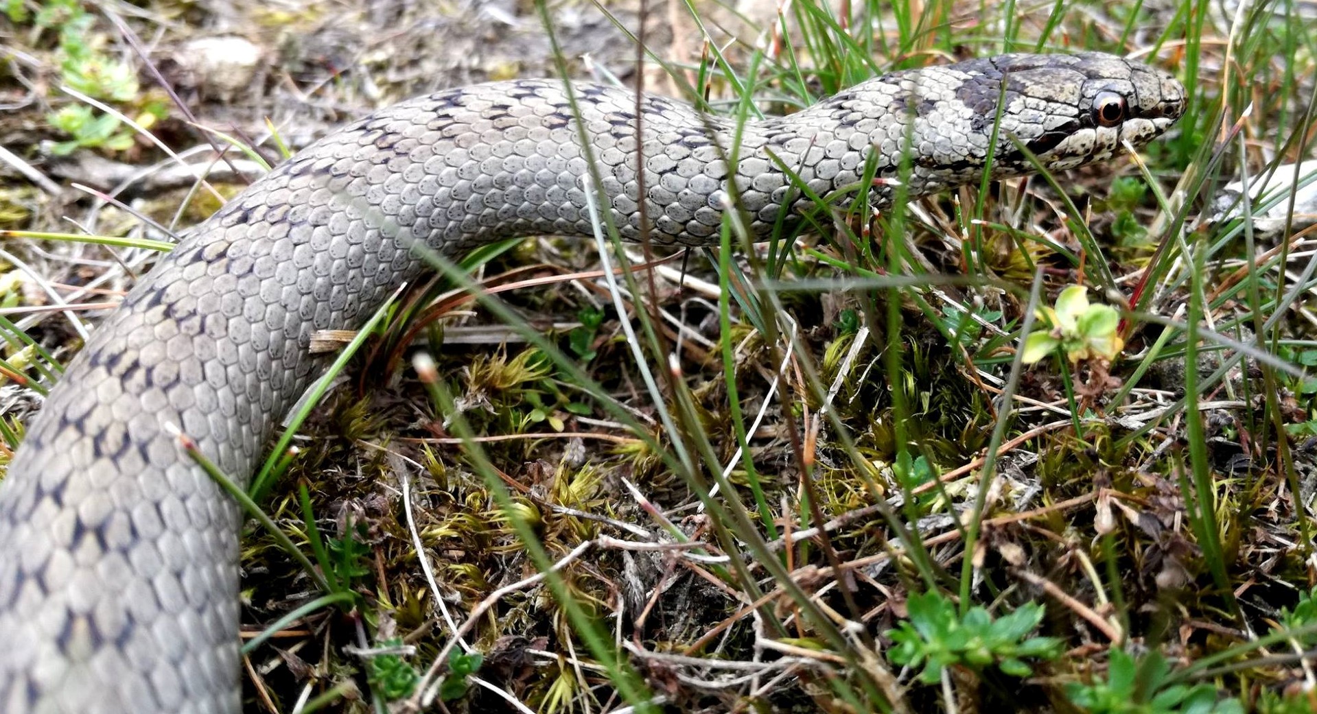 19222997_1363289947095960_634379179291555202_o