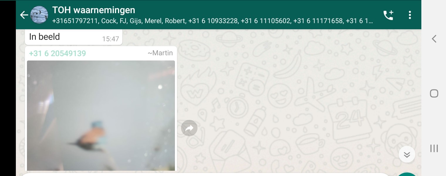 Screenshot_20200709-013332_WhatsApp