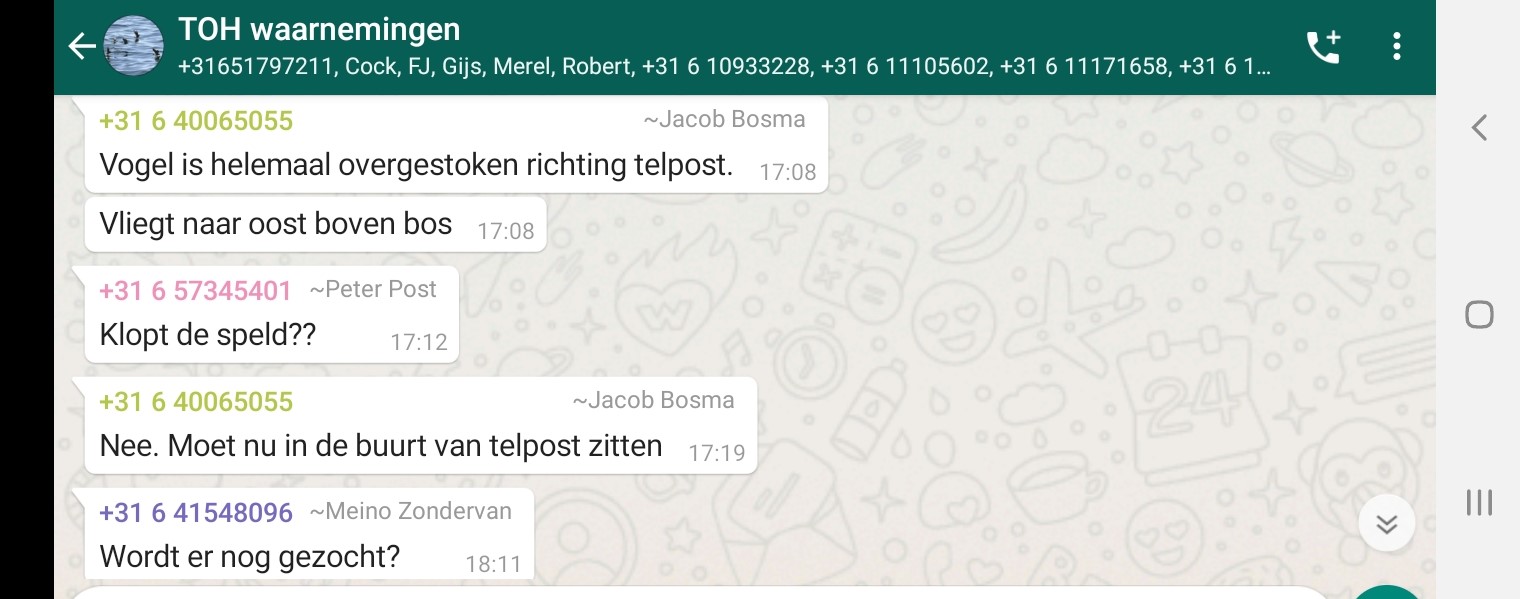 Screenshot_20200709-013354_WhatsApp