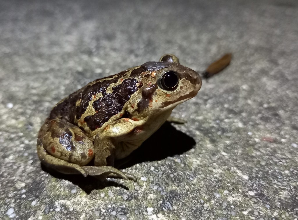 Magische avond in&nbsp;Drenthe