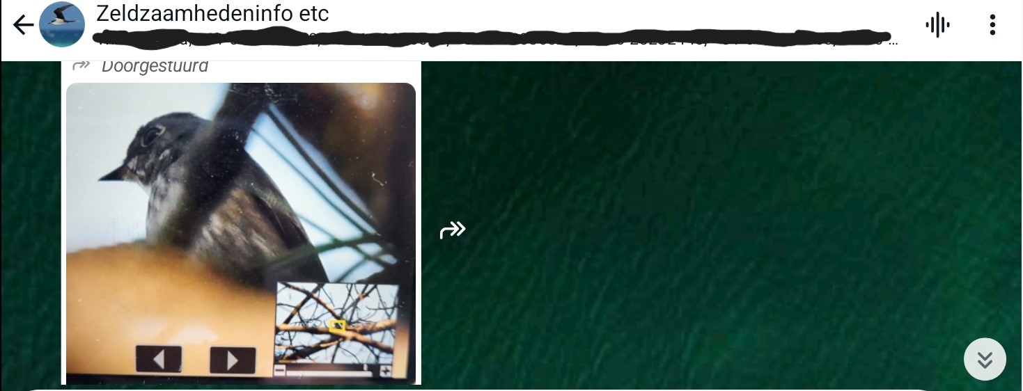 Wat een rustig weekend op Vlieland beloofde te worden…