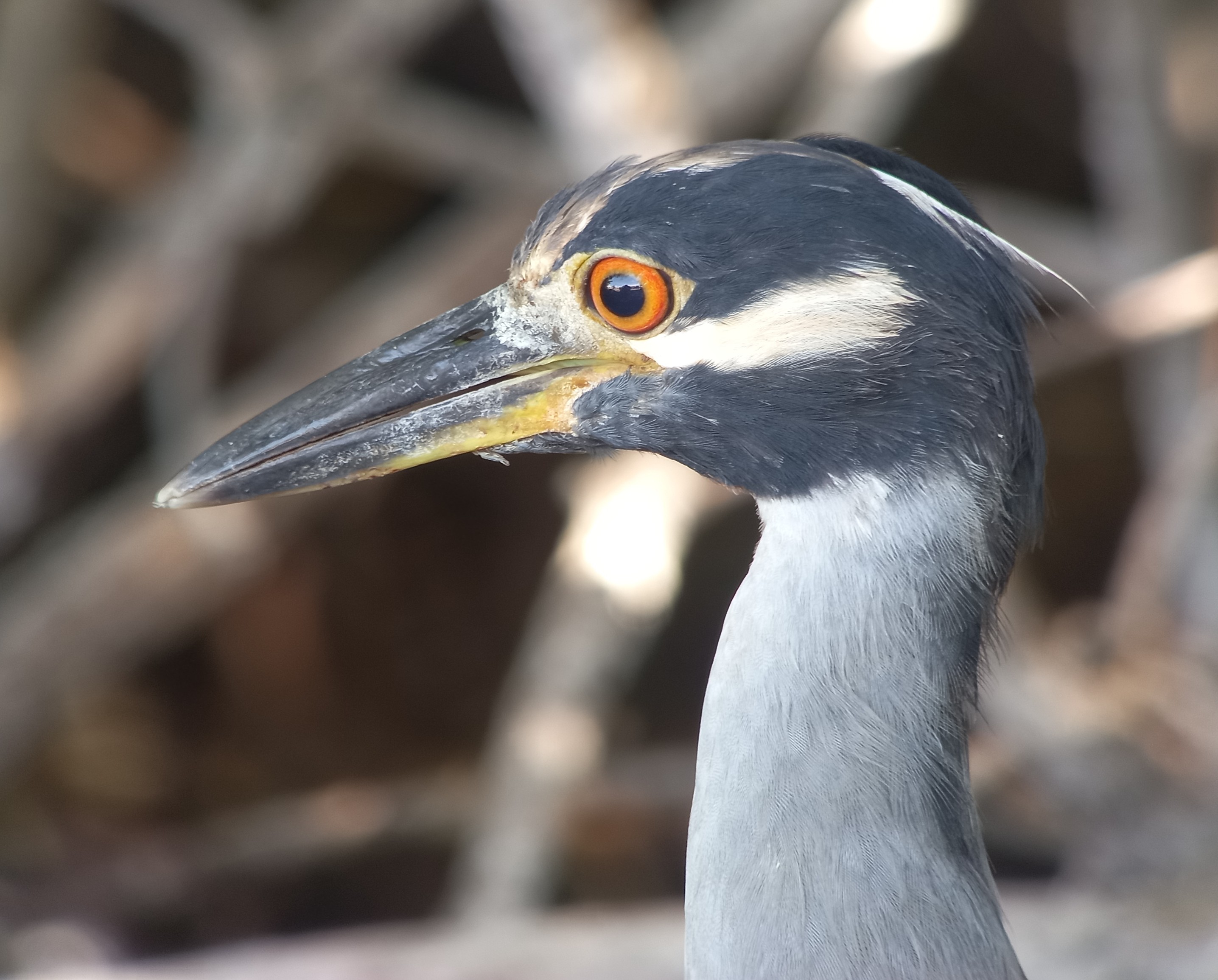 Bonaire deel 10 – De dagen zijn&nbsp;geteld…